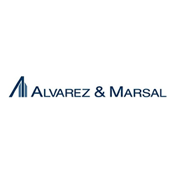 Automotive Consultancy